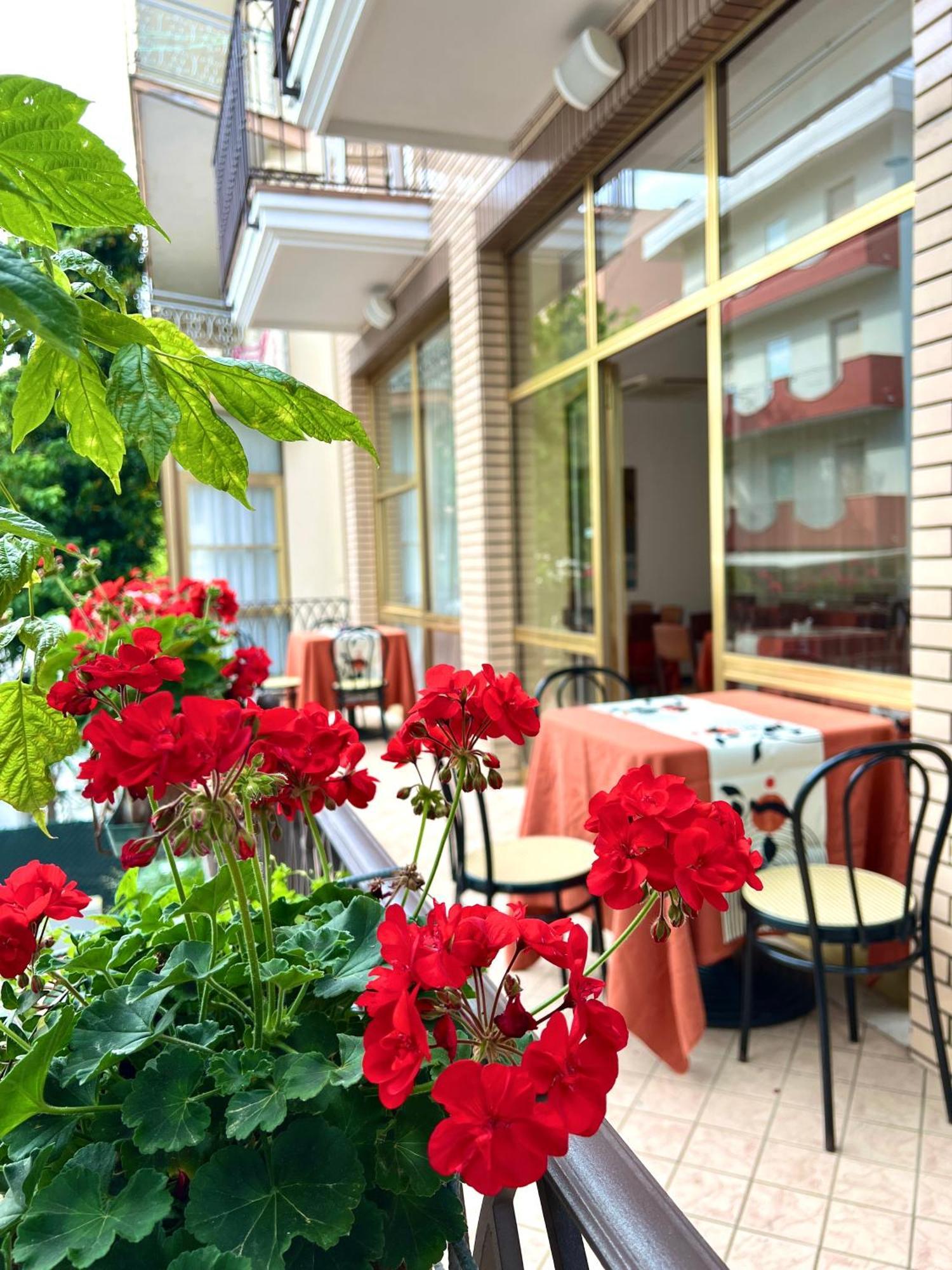Hotel B&B Ardea 리미니 외부 사진