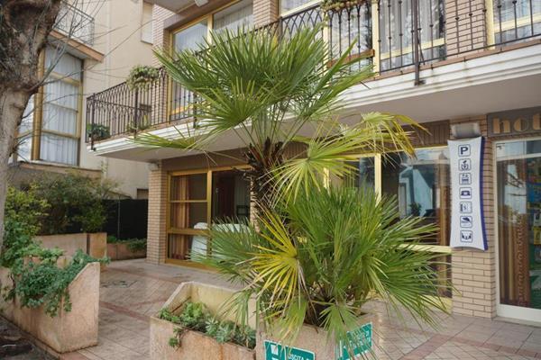 Hotel B&B Ardea 리미니 외부 사진